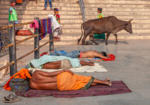 Varanasi, mucche sacre e uomini intoccabili